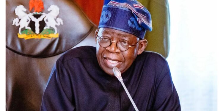 Tinubu Nigeria will never surrender