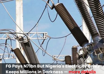 Nigeria electricity crisis
