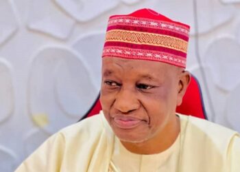 Kwankwaso welcomes Gwarzo into ADC