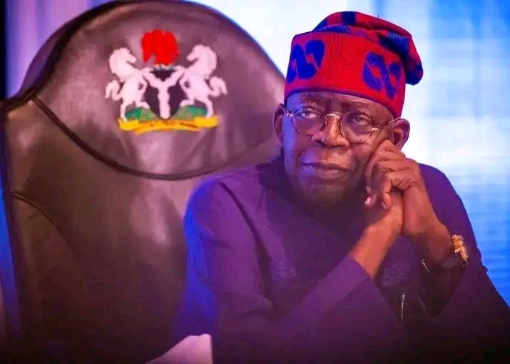 Tinubu $516M loan request