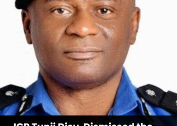 Activist Group Demands IGP Disu’s Resignation Over Delta Police Killing