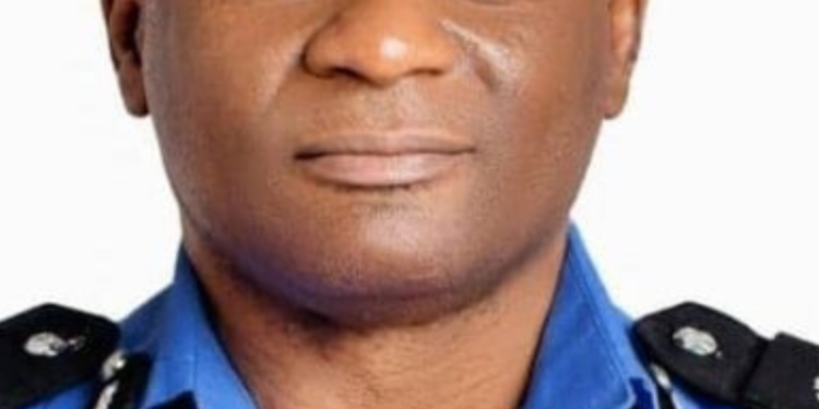 Activist Group Demands IGP Disu’s Resignation Over Delta Police Killing