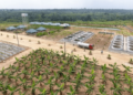 Governor Soludo Powers Industrialisation of Agriculture for Export in Anambra