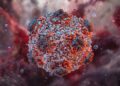 7 Things You Should Know About Hantavirus