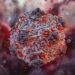 7 Things You Should Know About Hantavirus