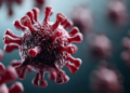 Andes Virus Outbreak