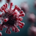 Andes Virus Outbreak