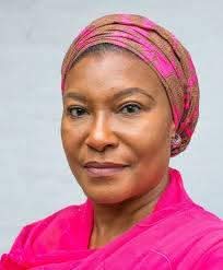I Didn’t See Report Used to Suspend Natasha Akpoti-Uduaghan – Senator Kingibe
