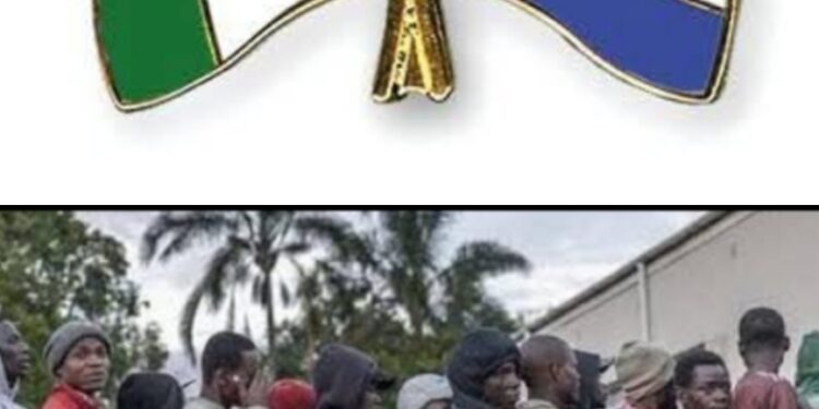 Xenophobia: Nigerians Protest at South Africa High Commission Over Delayed Evacuation