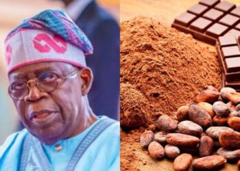 Tinubu Announces End to Raw Cocoa Exports, Boosts Local Processing