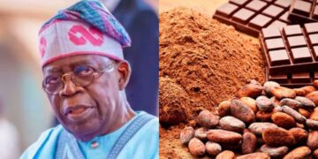 Tinubu Announces End to Raw Cocoa Exports, Boosts Local Processing