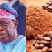 Tinubu Announces End to Raw Cocoa Exports, Boosts Local Processing