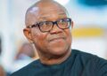 Petition Urges Probe of Peter Obi