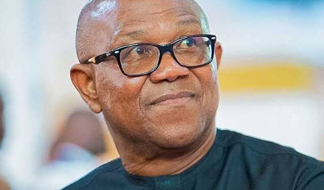 Petition Urges Probe of Peter Obi