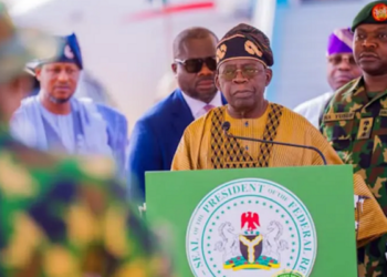 Defence Minister to Nigerians Abroad: Tinubu Govt Tightens Borders, Boosts Security