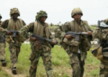Army Operation Drives Terrorists Into Forest, Rescues 22 Kidnap Victims in Niger