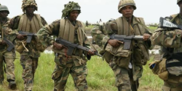 Army Operation Drives Terrorists Into Forest, Rescues 22 Kidnap Victims in Niger