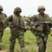 Army Operation Drives Terrorists Into Forest, Rescues 22 Kidnap Victims in Niger