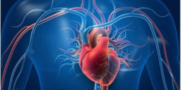 10 Ways Regular Exercise Strengthens Heart Health