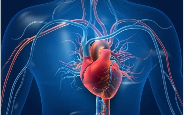 10 Ways Regular Exercise Strengthens Heart Health