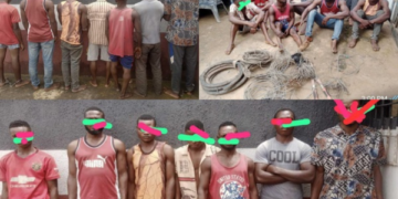 NSCDC Nabs Suspect Over Telecom Mast Vandalism in Anambra