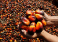Otti Targets Food Exports, Woos Presco Plc