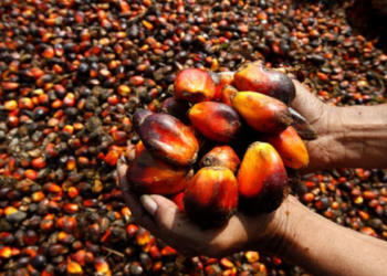 Otti Targets Food Exports, Woos Presco Plc