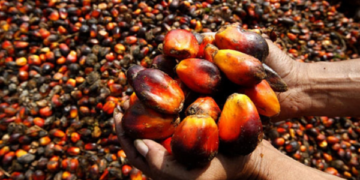 Otti Targets Food Exports, Woos Presco Plc